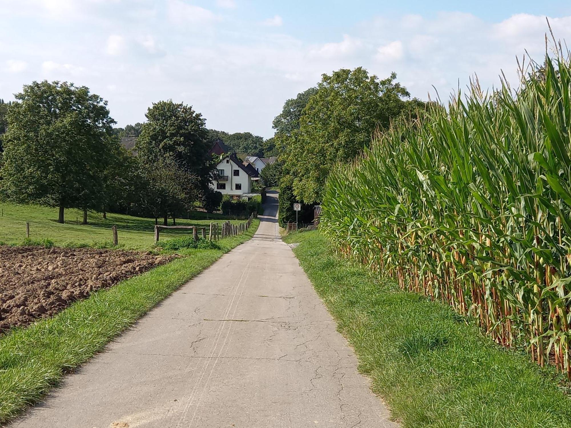 Bauernhof Sesterhenn Leichlingen Buitenkant foto